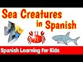 Spanish Sea Creatures Quiz
