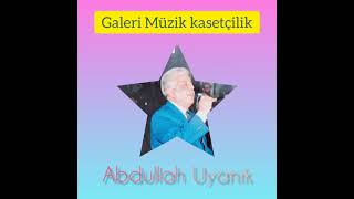 Abdullah Uyanık Özel gece 1990 - Gezdiğim Dikenli Aşk yollarında Bir Sınıfta Okurken