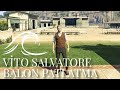 Vito Salvatore Balon Patlatma Senaryosu 🎈💥