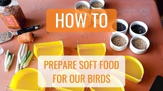 HOW TO PREPARE SOFT FOOD FOR OUR BIRDS (TAGALOG) screenshot 2