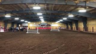 APHA Solid bred mare, Moon Over Mora’s 1st Hunter hAck class.