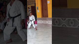 Stop Confusing Yoko Geri Keage & Kekomi!❌ #karate