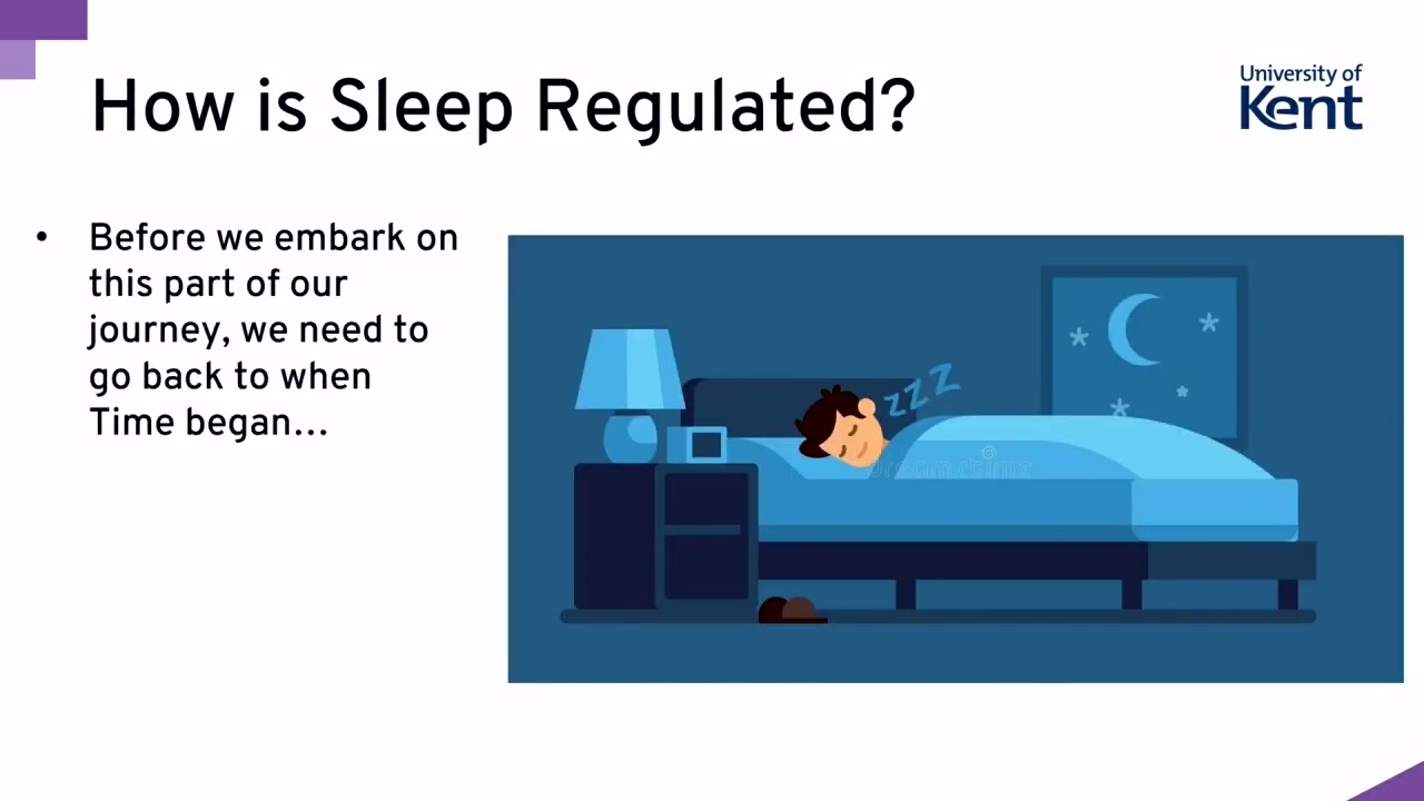 Sleep: Just how important is it? | Professor Gurprit Lall | University of Kent