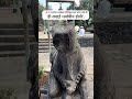 Untitled video