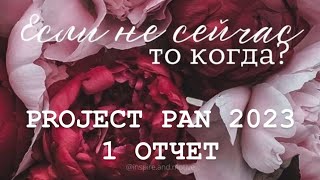 Бесконечный PROJECT PAN 2023 Отчет 1