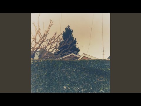 Feels Like We Only Go Backwards - Imaginary Future
