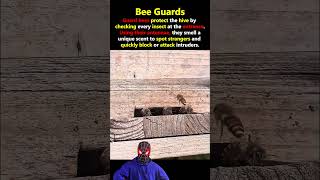 The Secret Security System Inside a Beehive