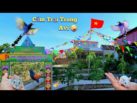 Video: Ngừng Cho Thú Cưng ăn Thức ăn Vặt - Đồ ăn Cho Thú Cưng Có Lành Mạnh Không?