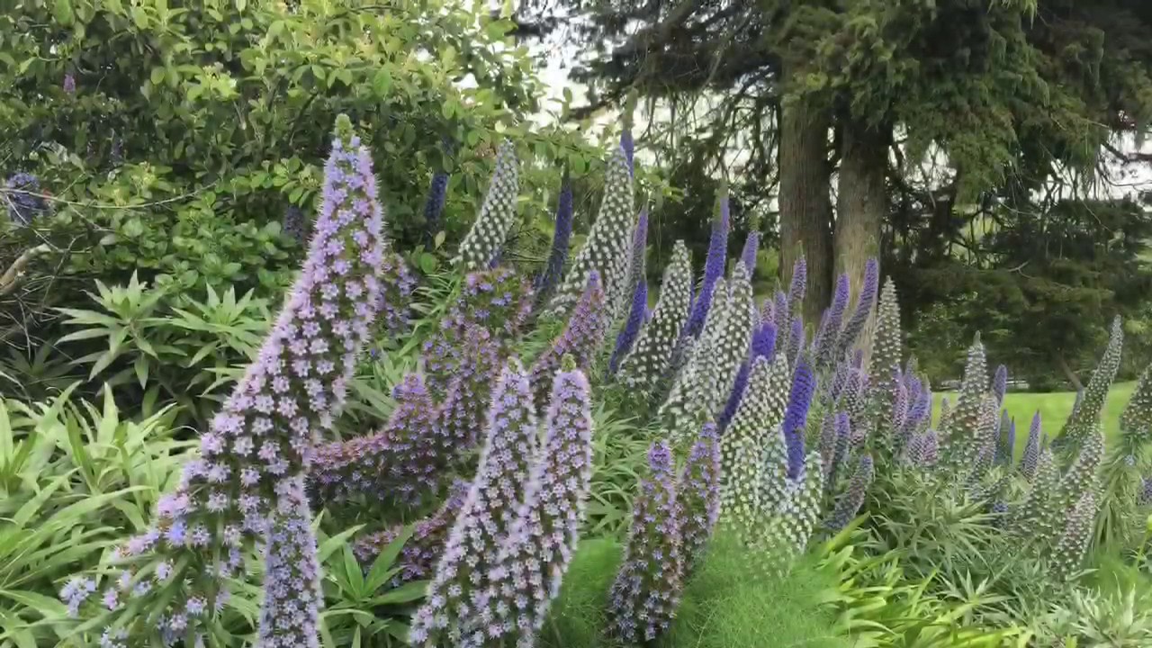 Blue Rock Springs Golf Course West YouTube