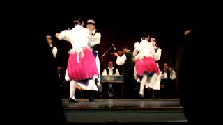Hungarian Folk Dance