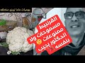 نظام الطيبات نظام الدكتور ضياء العوضي القرنبيط مسموحات ولا ممنوعات اسمع الدكتور يجيب بنفسه