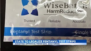 Hawaii to legalize fentanyl test strips following record-high overdose deaths