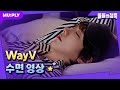 꿀잠캠 나 우울해서 웨이션브이 꿀잠캠 봤어 ㄴ잘했어 돌들의침묵 웨이션브이 WayV FREQUENCY Korean Ver 꿀잠캠 나 우울해서 웨이션브이 꿀잠캠 봤어 ㄴ잘했어 돌들의침묵 웨이션브이 WayV FREQUENCY Korean Ver