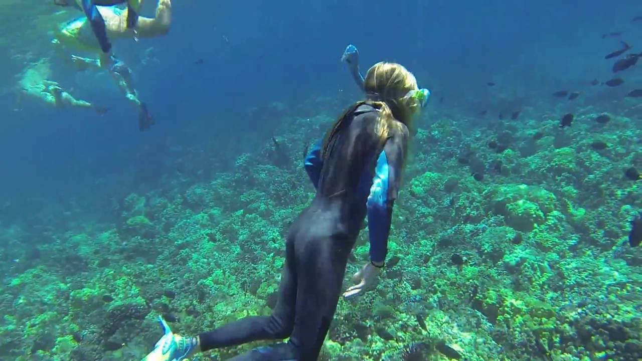 Orangespine Unicornfish