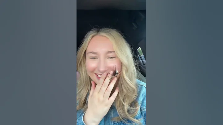 Spider filter prank #funny #fouryou #prank #happy