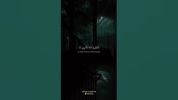 سورة النَّمْل القارئ الشيخ / كامل يوسف البهتيمي