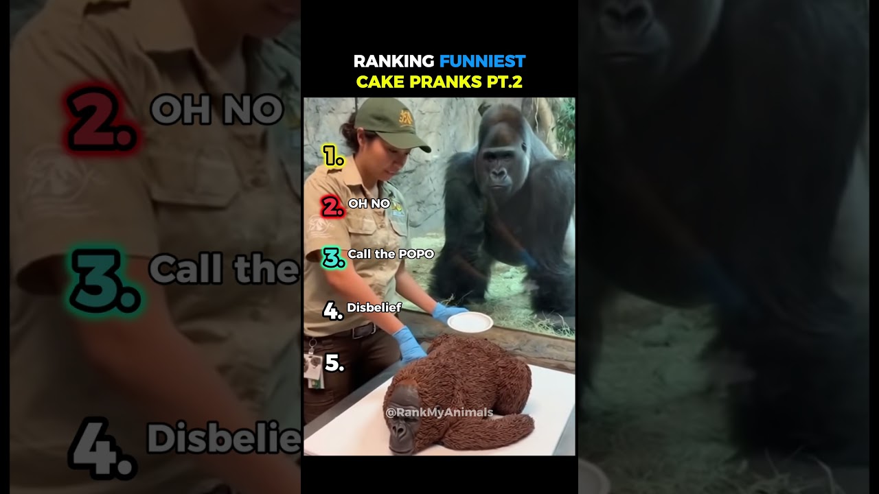 Ranking funniest cake pranks PT.2 😭☠️