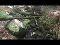 The Fairy Trail At Wiawaka 🧚🏼‍♂️✨🧚🏼‍♂️✨