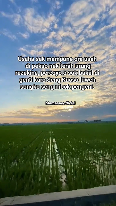 Usaha sak mampune #youtubeshorts #vidioshort #story #storyjawa #status #quotes #motivasihidup