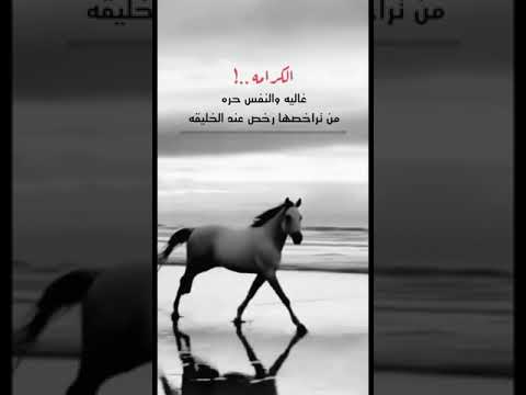 الكرامة غالية