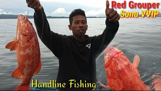 RED GROUPER FISH; Catching Red Grouper with a SQUID BAIT _ MANCING KERAPU MERAH UMPAN CUMI