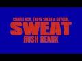 Charli Xcx Troye Sivan SHYGIRL SWEAT Rush Remix Mashup mp3