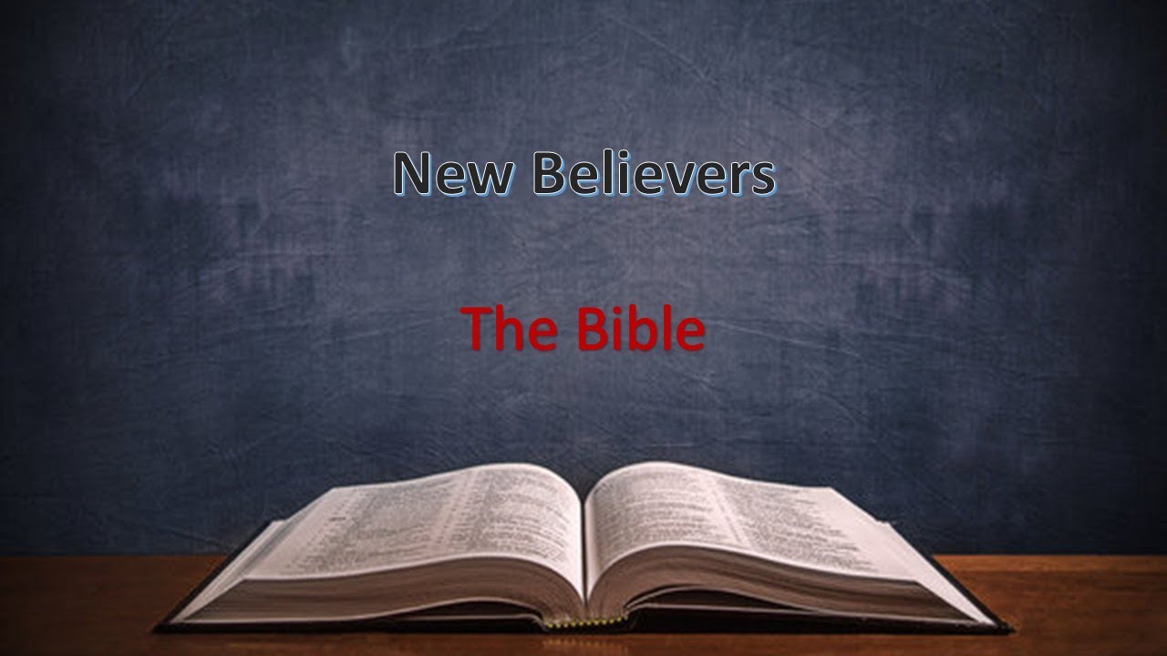 How Do We Study The Bible? 