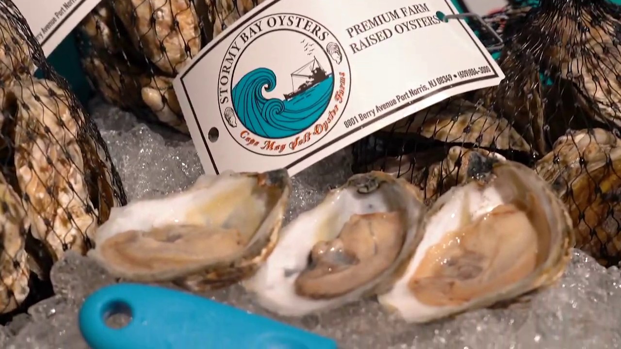 Cape May Salt Oyster Farms - Stormy Bay Oysters - YouTube