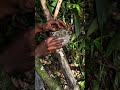 how to make fire