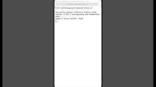 Does IMG.LY Background Removal Run on My Computer?