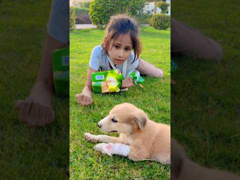 Woow Larki Ne Bahut acha Kam Kia 🤓 #viral #trending #shorts