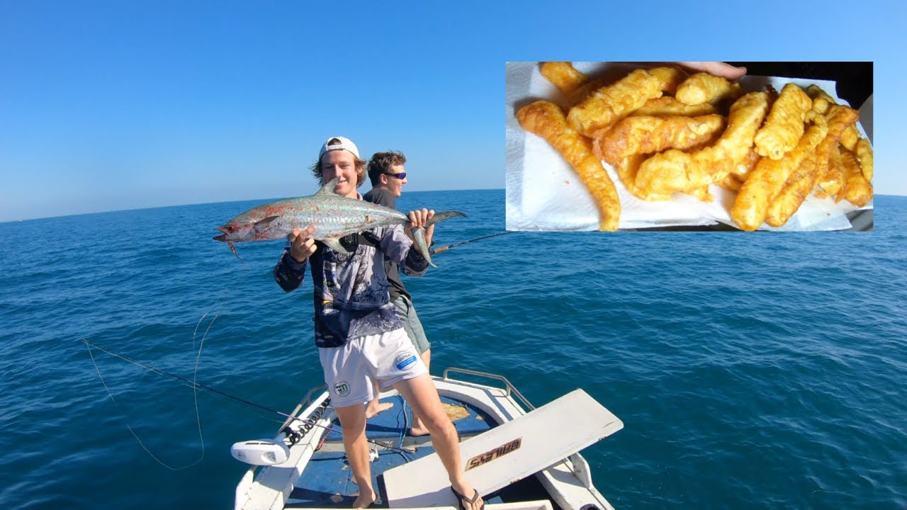 Harbour Mackerel Catch n Cook Ep 1