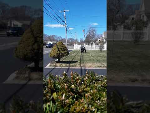 Cartwheel fails