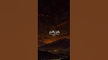 اكتب شيء تؤجر عليه 😴🤍 القارئ ياسر الدوسري