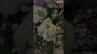 Bira Sevenlere Özel -Karanfil Çi̇çek Antalya