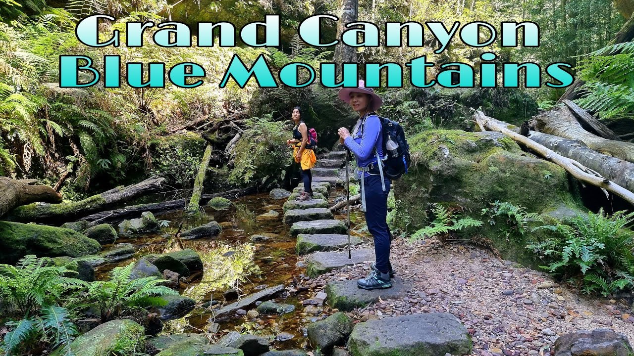 Cliff Top Track and Grand Canyon YouTube