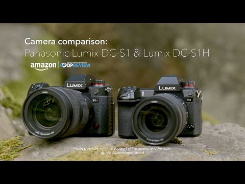 Camera comparison: Panasonic Lumix DC-S1 vs DC-S1H