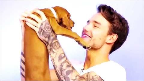 Taylor Swift - Gorgeous (Official Music Video)