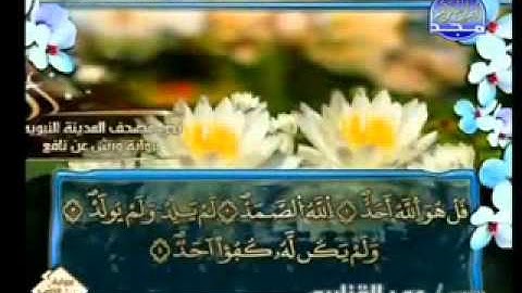 سورة الاخلاص الشيخ عمر القزابري