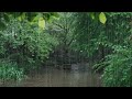 The beautiful little river is raining(378) , sleep, relax, meditate, ASMR, Real Shot