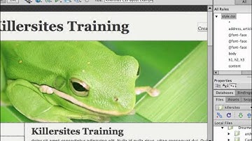 Dreamweaver CS6 Tutorials Lesson 2 Step 4 Insert Panels