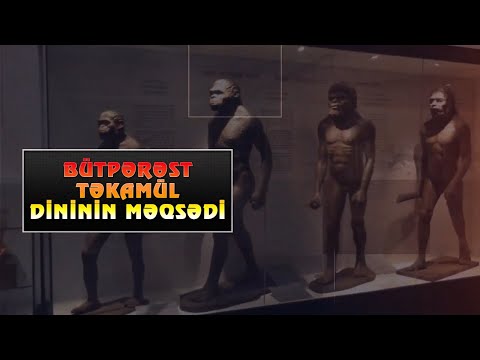 Video: Təkamülün bir məqsədi varmı?