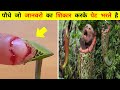 पौधे जो जानवरो का शिकार करके पेट भरते है | Dangerous Carnivorous Plants That Eat Animals In Hindi