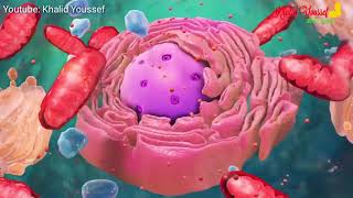 تركيب الخلية  Cell structure