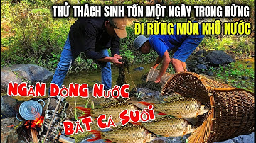 Vào rừng ngăn dòng nước đặt bẫy bắt cá suối thử thách sinh tồn trong rừng tập 1