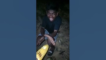 Thumbnail of Takut gak sama jagung