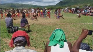 ONLY THE BRAVE SURVIVE KWANONGOMA. IZINSIZWA ZIKAKHWAXA