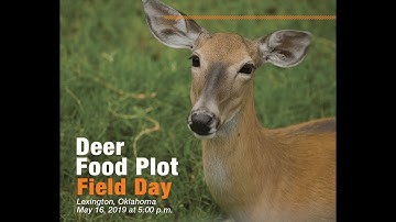 Deer food plot seeding rates-  Bradley Secraw