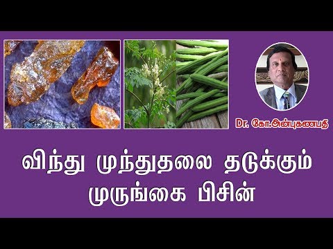 ஆண்களுக்கு விந்து விரைவாக வெளியேறுவதை தடுக்க முருங்கை பிசினை எவ்வாறு பயன்படுத்துவது