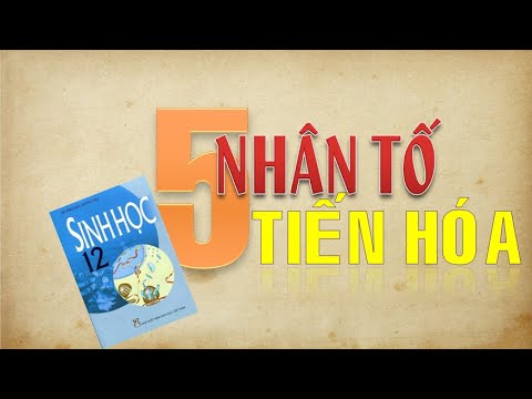 Video: Định nghĩa của tiến hóa sinh học về tần số alen là gì?